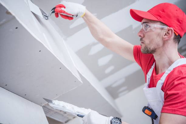 Best Drywall Sanding and Smoothing  in Smithville, OH